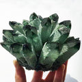 Green Ghost Phantom Quartz Crystal Cluster