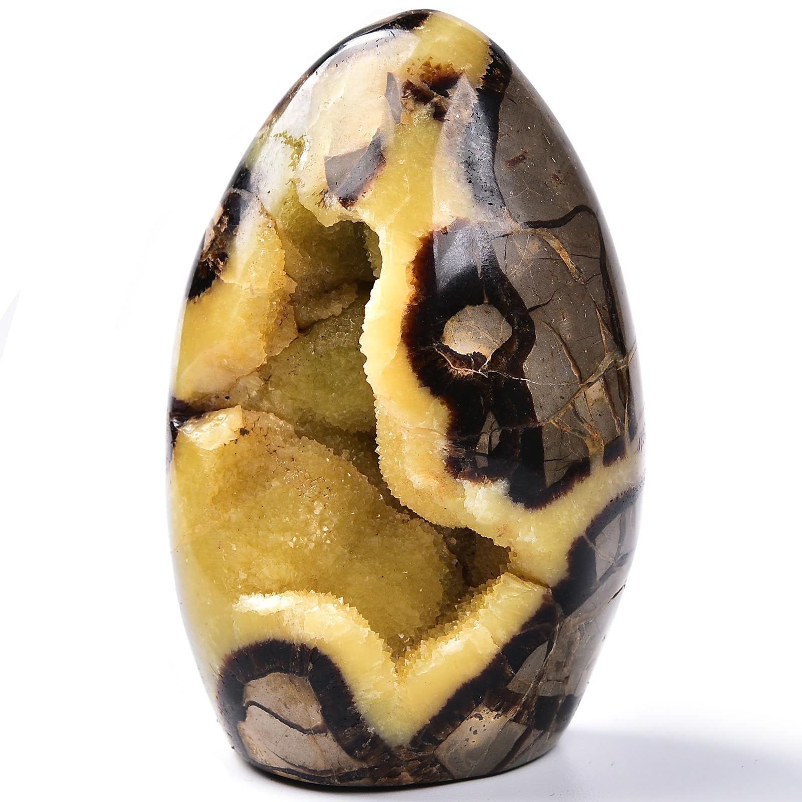 Large Septarian Crystal Geode Cluster Specimen