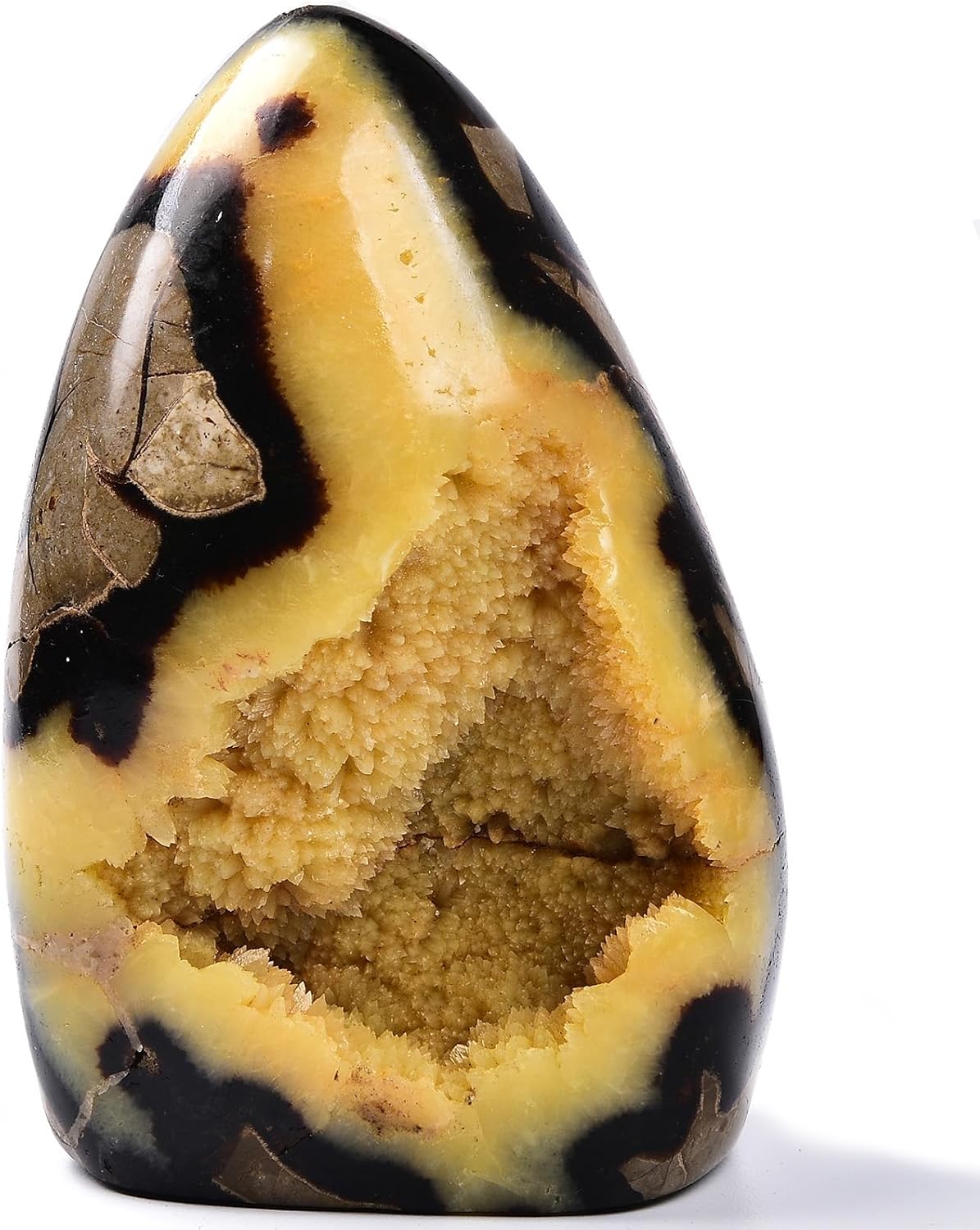 Large Septarian Crystal Geode Cluster Specimen