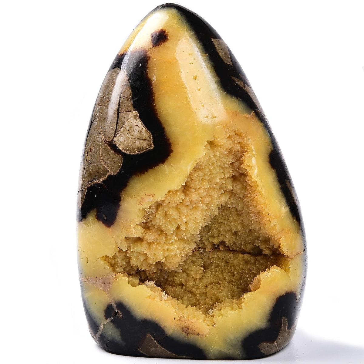 Large Septarian Crystal Geode Cluster Specimen