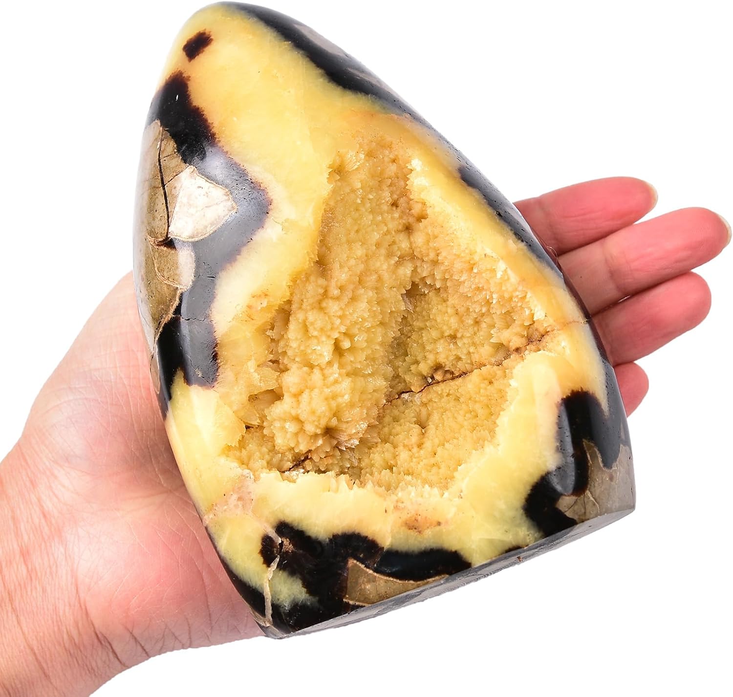 Large Septarian Crystal Geode Cluster Specimen